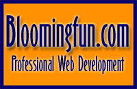 Bloomingfun.com, professional web development based in Bloomington, Indiana