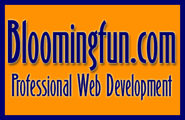 Bloomingfun.com International, professional web development based in Bloomington, Indiana